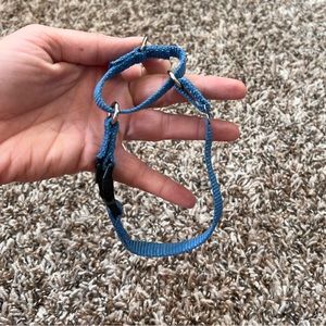 Petsafe Martingale Dog Collar